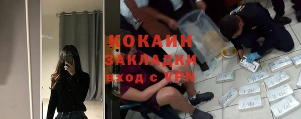 гашик Алзамай