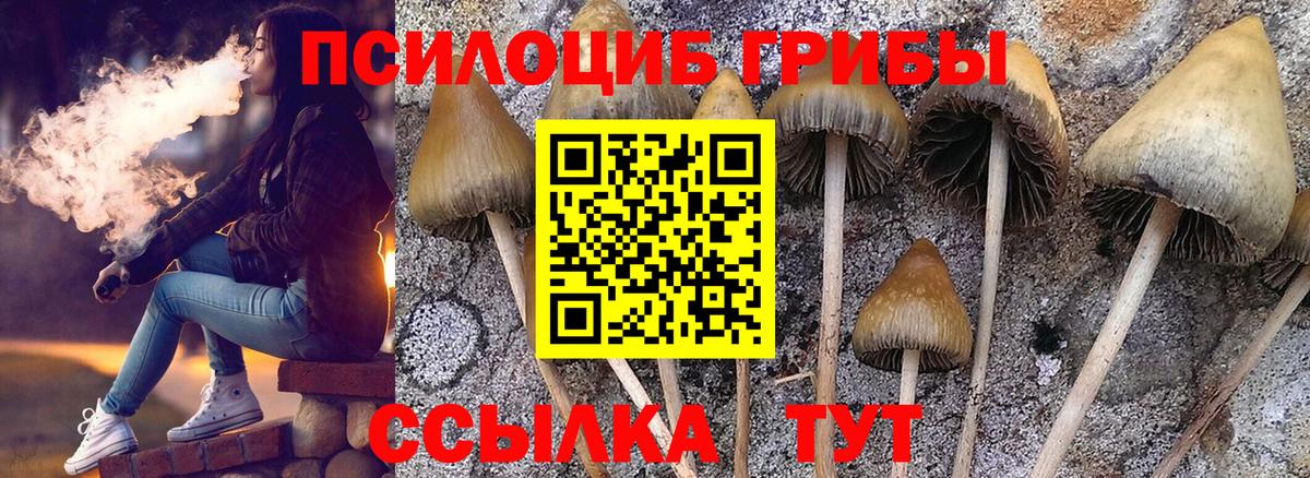 Галлюциногенные грибы Magic Shrooms Строитель