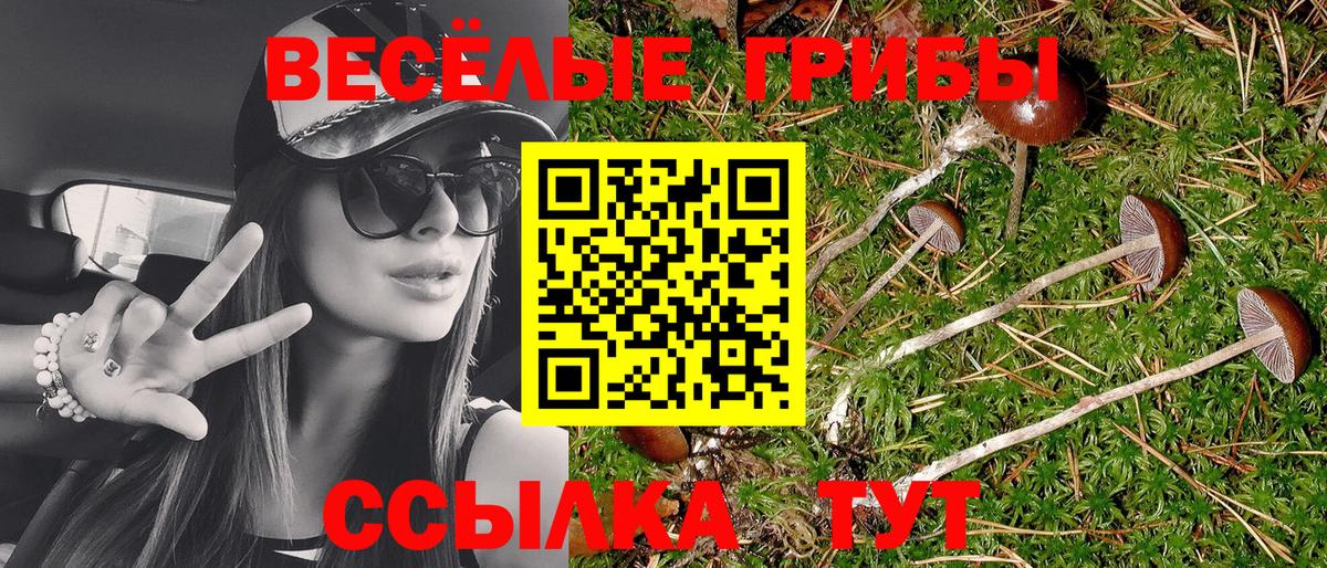Строитель  Галлюциногенные грибы мицелий  Вход с VPN 
